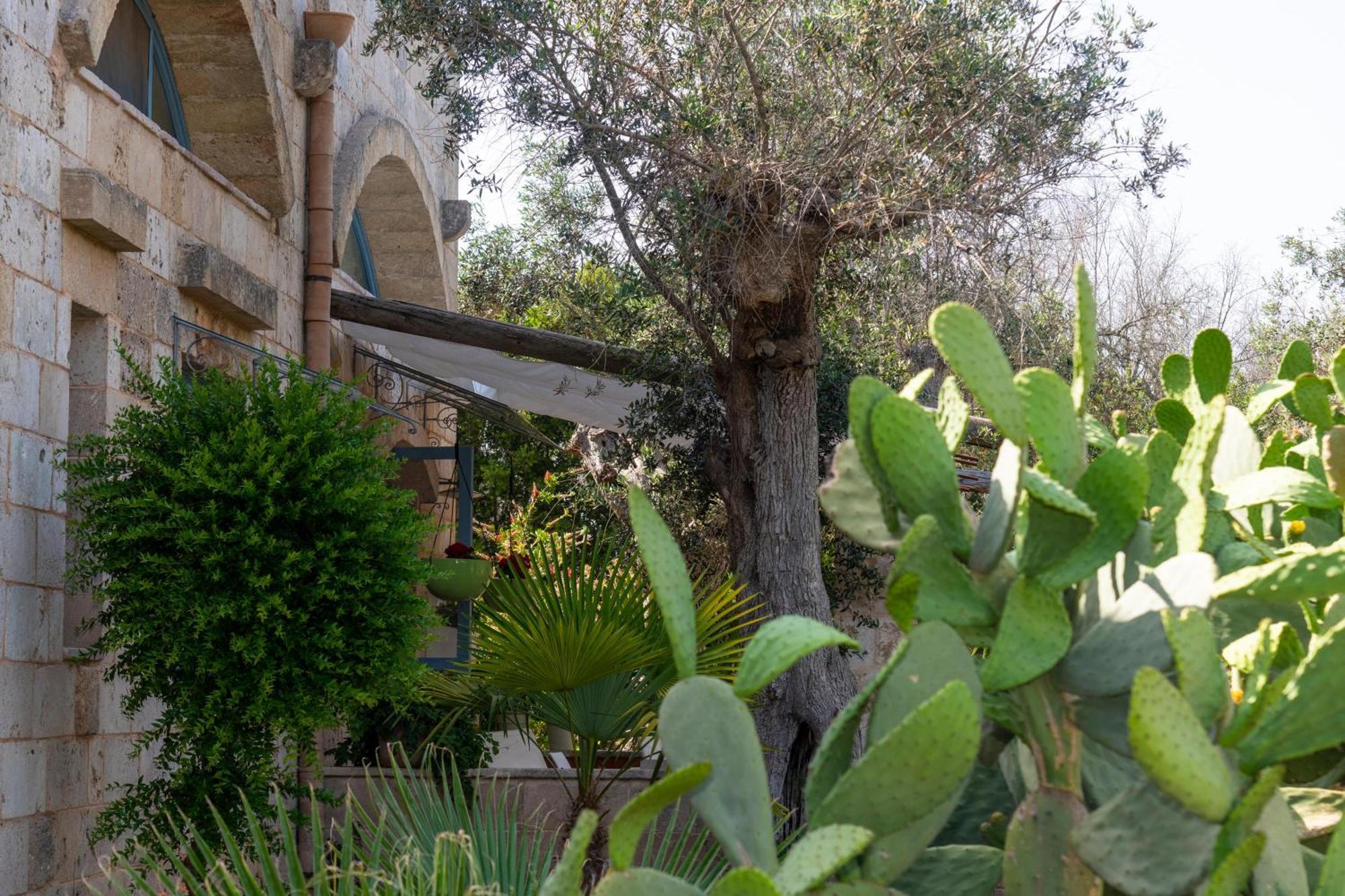 Holiday home Fra Gli Ulivi *